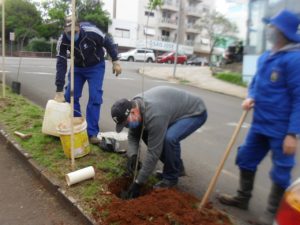 Leia mais sobre o artigo SECRETARIA DE MEIO AMBIENTE REALIZA REVITALIZAÇÃO EM CANTEIROS