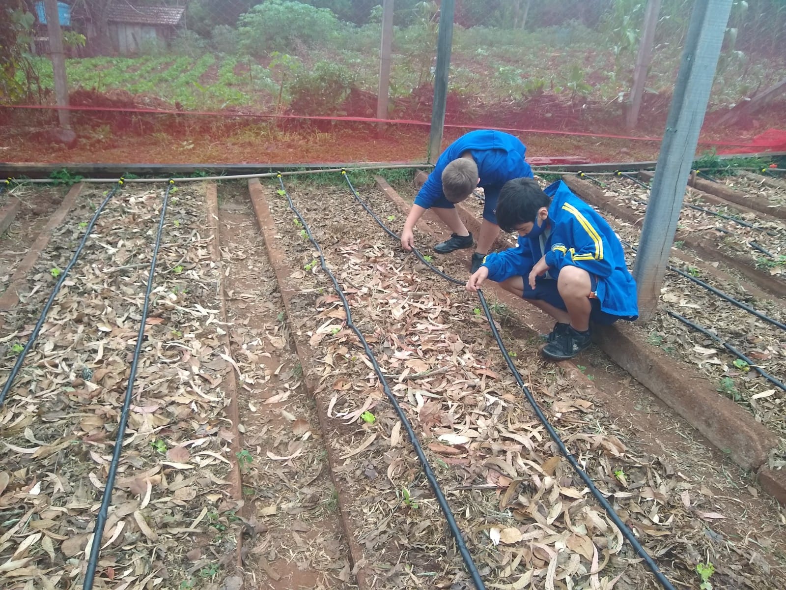 Você está visualizando atualmente PROJETO DE CAPTAÇÃO DE ÁGUA DA CHUVA E IRRIGAÇÃO DA HORTA ESCOLAR ENVOLVE A COMUNIDADE ESCOLAR DA EMEF JAGUARETÊ