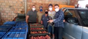 Leia mais sobre o artigo FAMÍLIA RECH EXEMPLO NA PRODUÇÃO DE FRUTAS NA LINHA MONTANHA ALEGRE