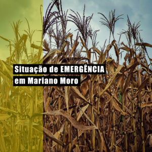 Leia mais sobre o artigo MARIANO MORO DECRETA SITUAÇÃO DE EMERGÊNCIA
