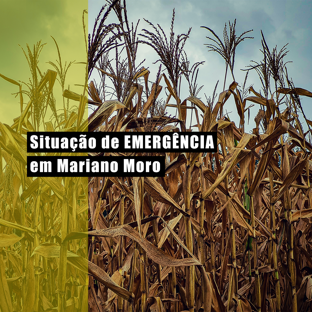Leia mais sobre o artigo MARIANO MORO DECRETA SITUAÇÃO DE EMERGÊNCIA