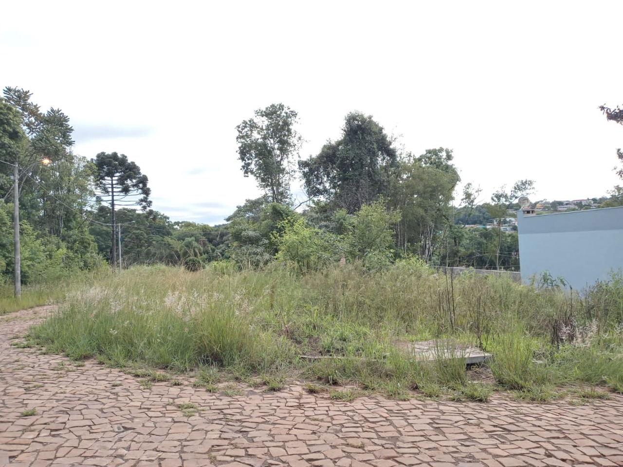 Você está visualizando atualmente SECRETARIA DE MEIO AMBIENTE FAZ UM ALERTA SOBRE A LIMPEZA DE TERRENOS