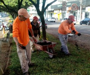 Leia mais sobre o artigo SECRETARIA DO MEIO AMBIENTE REALIZA APLICAÇÃO DE HÚMUS NOS CANTEIROS CENTRAIS