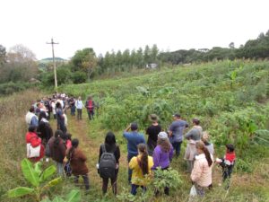 Leia mais sobre o artigo FAMÍLIAS DE CAPO-ERÊ REALIZAM INTERCÂMBIO AGROFLORESTAL EM SANANDUVA