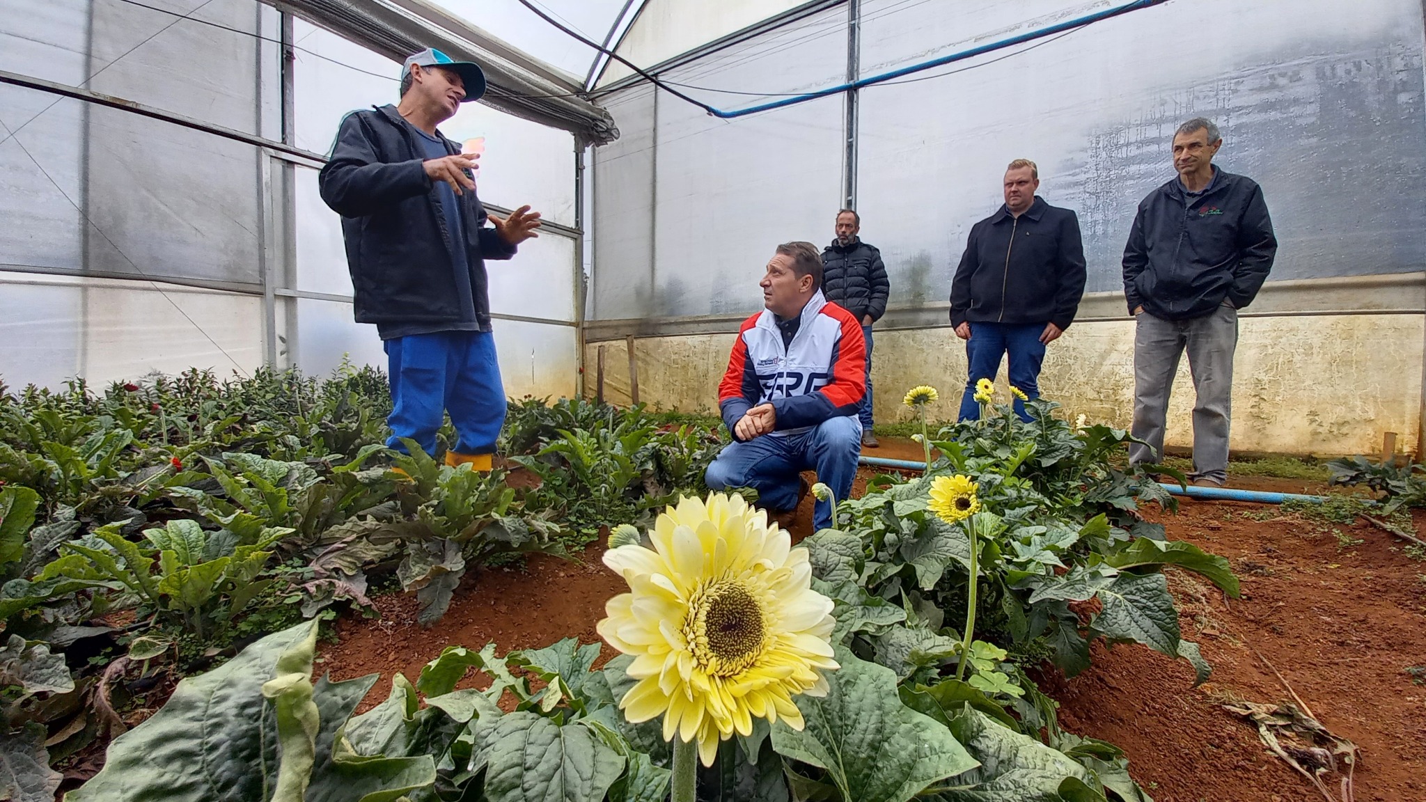 Você está visualizando atualmente SÍTIO TUTTI FIORI SE DESTACA NA PRODUÇÃO DE FLORES EM ERECHIM