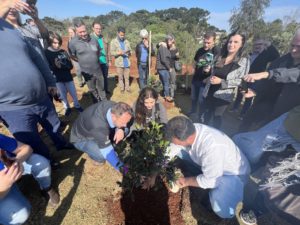 Leia mais sobre o artigo NASCE UM NOVO PARQUE: PLANTIO DE ÁRVORES MARCA INÍCIO DO PROJETO DO PARQUE ARVOREDO