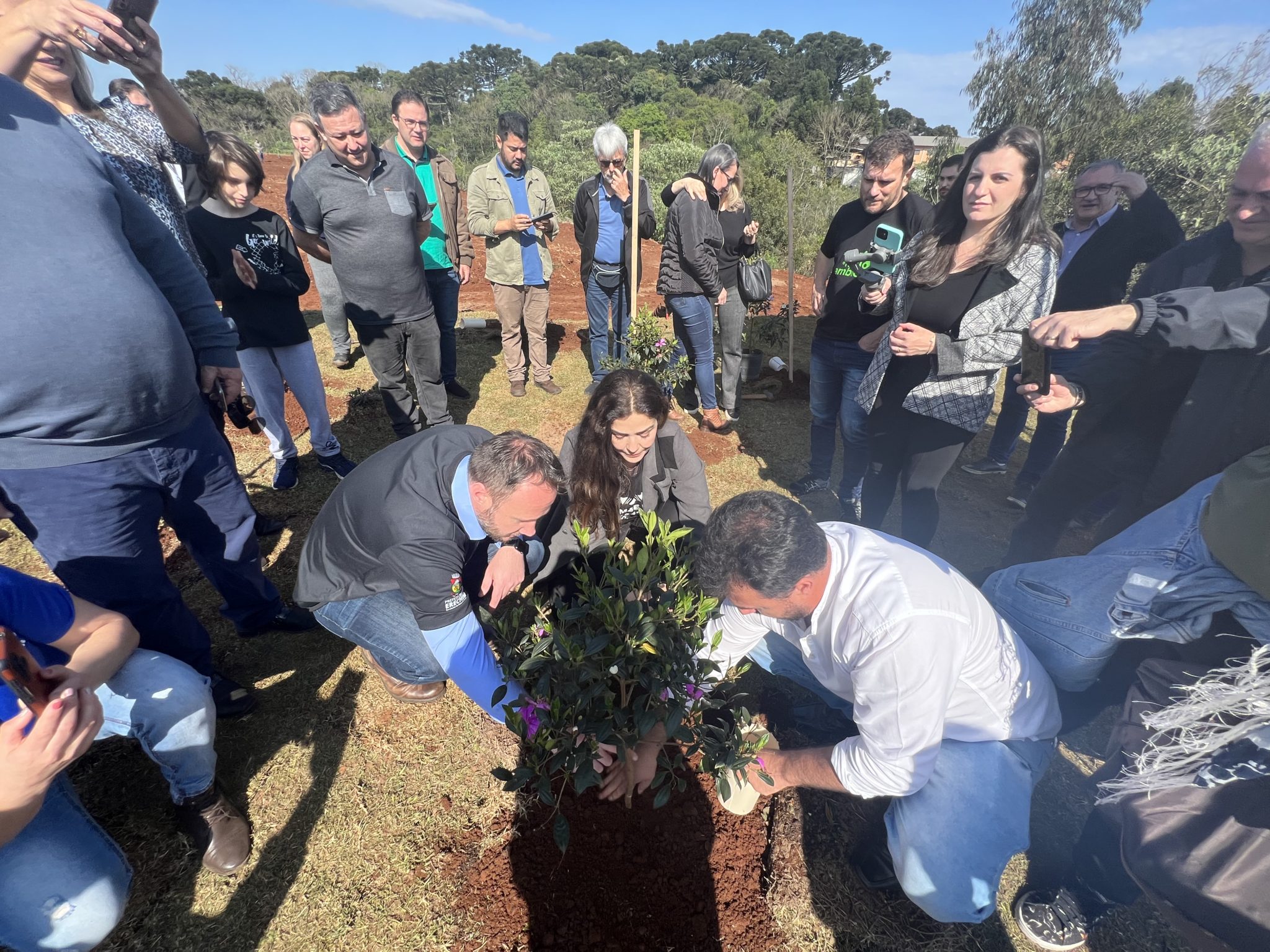 Você está visualizando atualmente NASCE UM NOVO PARQUE: PLANTIO DE ÁRVORES MARCA INÍCIO DO PROJETO DO PARQUE ARVOREDO