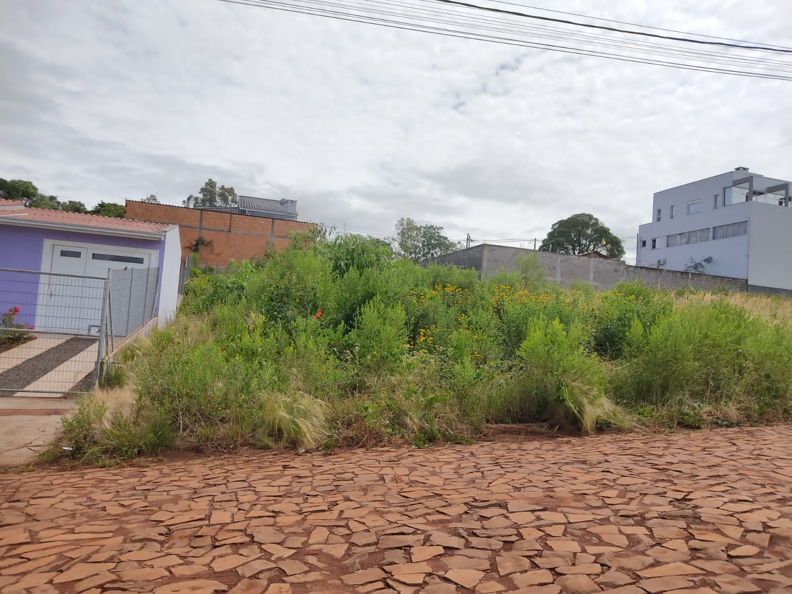 Você está visualizando atualmente SECRETARIA DE MEIO AMBIENTE REFORÇA A NECESSIDADE DA LIMPEZA DE TERRENOS