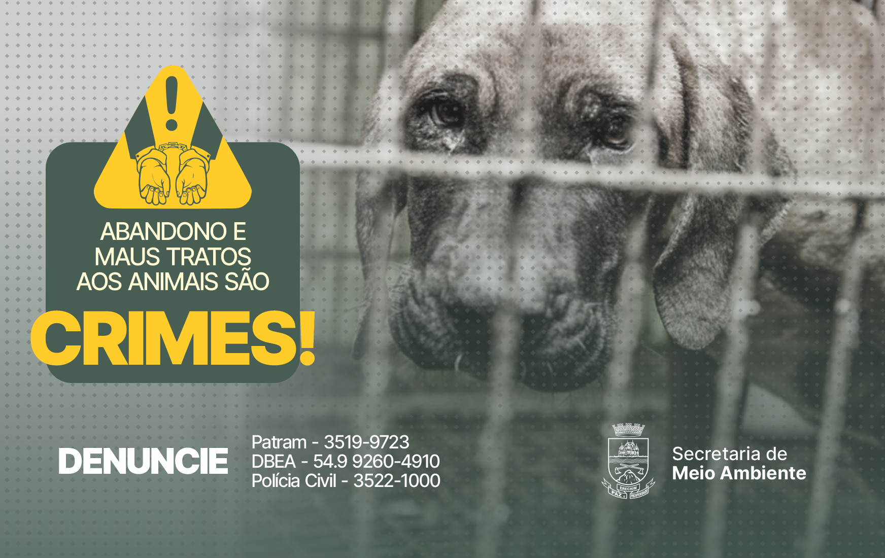 Você está visualizando atualmente DENUNCIE – PREFEITURA ALERTA QUE ABANDONO E MAUS TRATOS DE ANIMAIS SÃO CRIMES SUJEITOS À PRISÃO